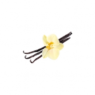 Ароматизатор пищевой TPA - "French Vanilla (Французская ваниль)" (TPA-026-10) (Упаковка 10 мл.) фото 9426