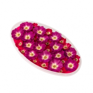 Цветы обезвоженные съедобные - "Роза, Огненный поцелуй и Пурпурный фламинго" (Упаковка ~30 шт.) фото 10455