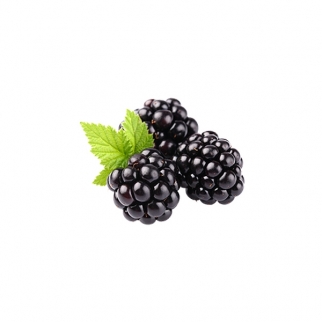 Ароматизатор пищевой TPA - "Blackberry (Ежевика)" (TPA-007-10) (Упаковка 10 мл.) фото 9422