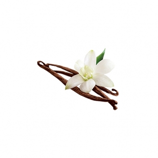 Ароматизатор пищевой CAPELLA - "French Vanilla (Французская ваниль)" (CAP-310-10) (Упаковка 10 мл.) фото 9398