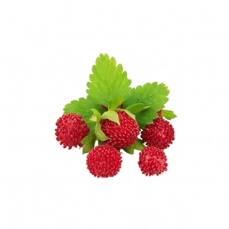 Ароматизатор пищевой INAVERA - "Wild Strawberry (Земляника)" (INW-1178-10) (Упаковка 10 мл.) фото 10497