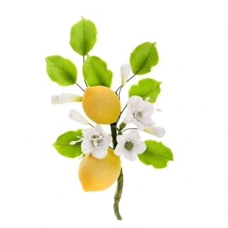 Букет из мастики - "Цветы с лимонами" (11105*L) (Упаковка 1 шт.) фото 6613