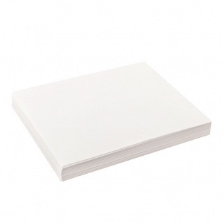 Оберточная бумага LP - "Белая, ВПМ, парафинированная, 30,5х30,5 см." (Упаковка 1000 шт.) фото 13543